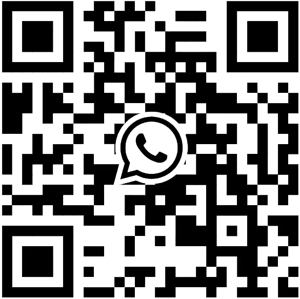 ins1