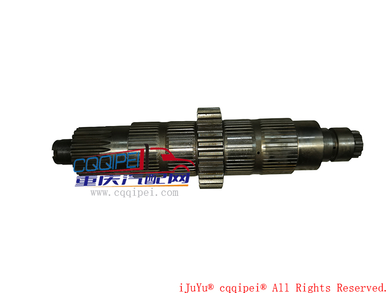 输入轴 12齿L903020100
