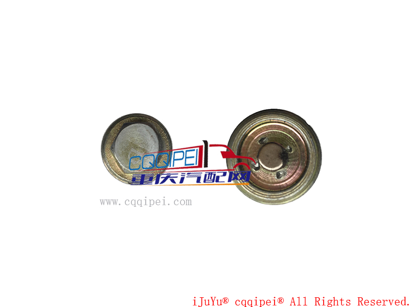 放油螺塞总成ZF01-01100