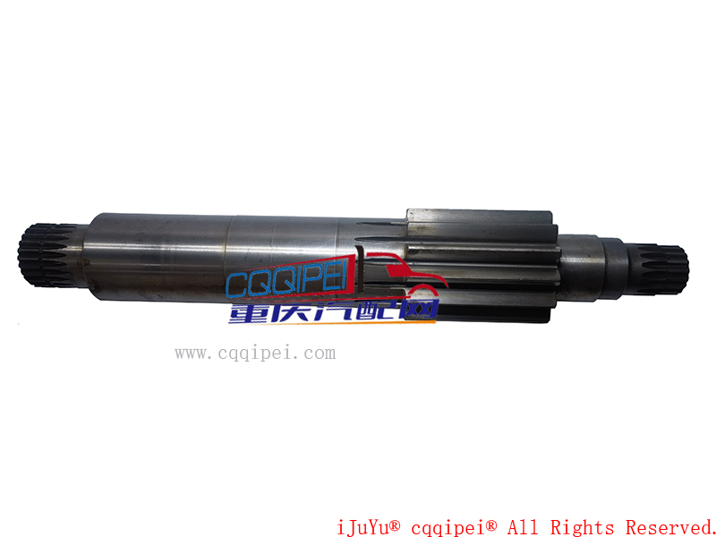 ZF01-03081