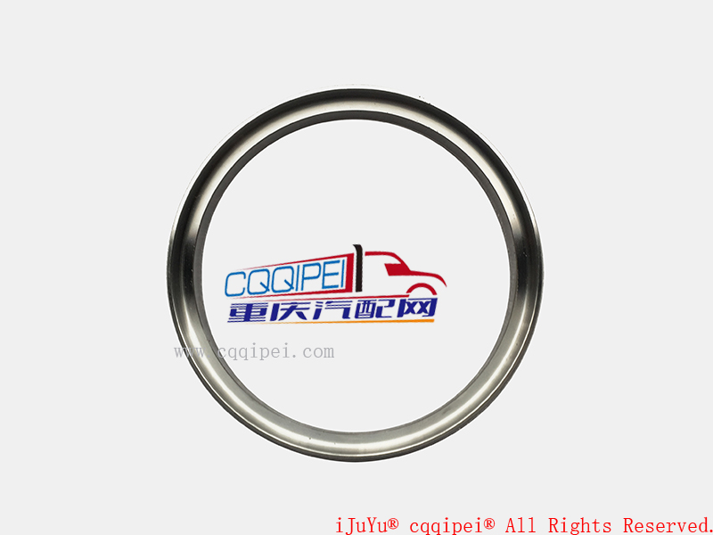 Support ring / Bearing ring 2300123